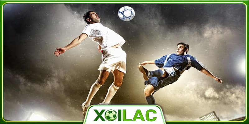 Giới thiệu tổng quan về Xôi Lạc TV