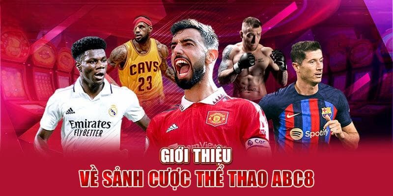 Hướng dẫn đăng ký và quản lý tài khoản tại ABC8